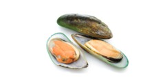 Greenshell™ Mussels